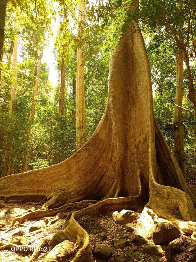 Forest Breath Eco-Lodge Cat Tien Esterno foto